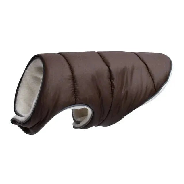 Tucker Dachshund Jacket dark coffee / S thedoxieworld
