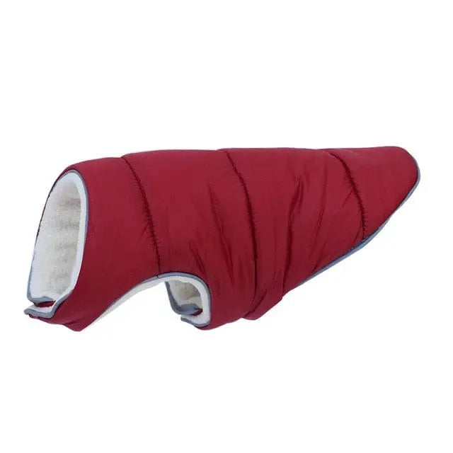 Tucker Dachshund Jacket thedoxieworld