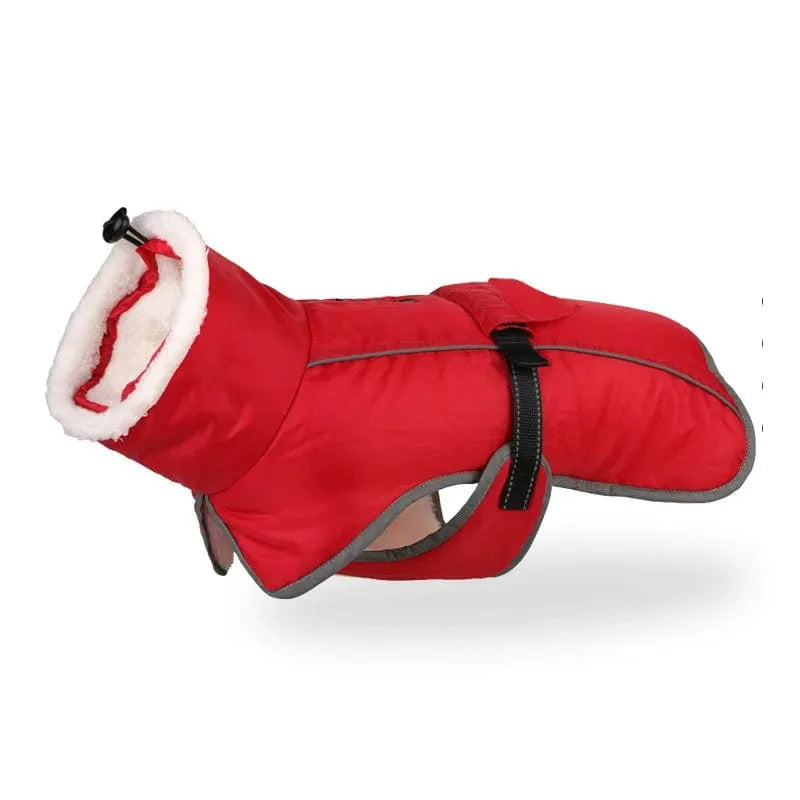 Warm Fleece Dachshund Coat The Doxie World