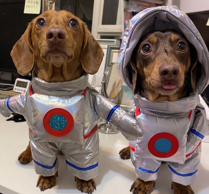 Wiener Dog Astronaut Costume The Doxie World