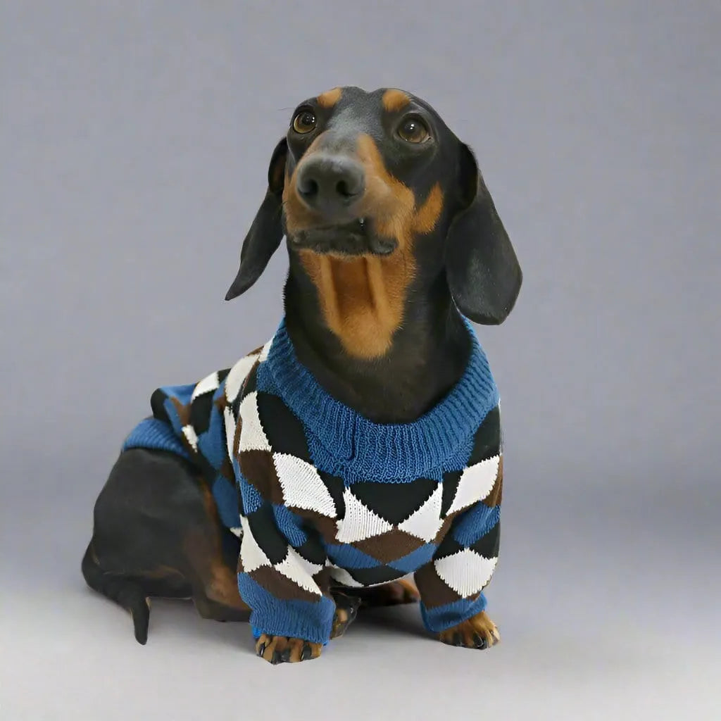 Wiener Dog Check Sweater The Doxie World