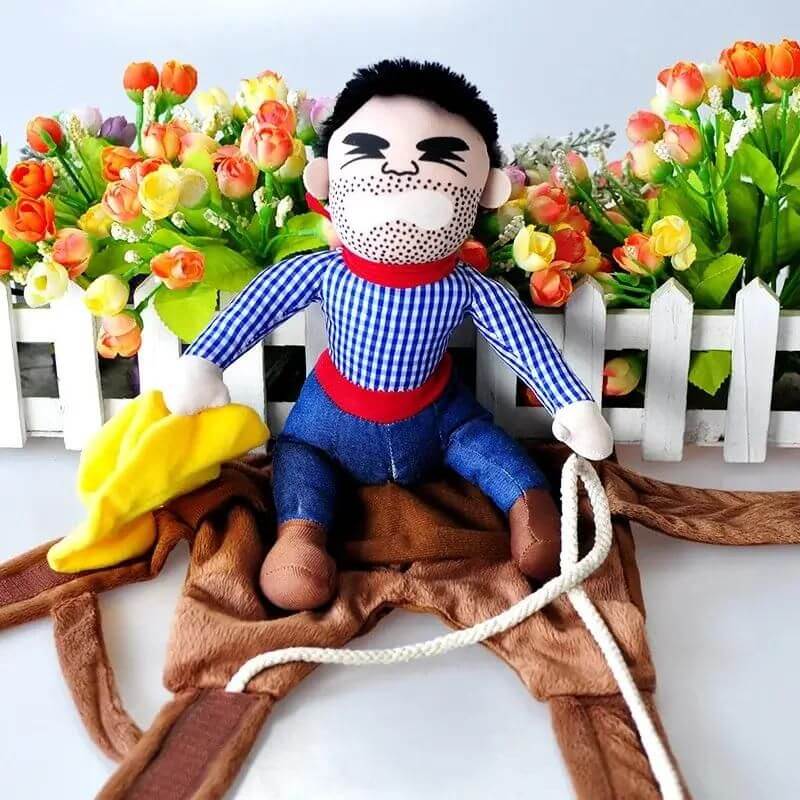 Wiener Dog Cowboy Costume The Doxie World