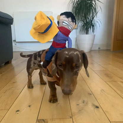 Wiener Dog Cowboy Costume The Doxie World