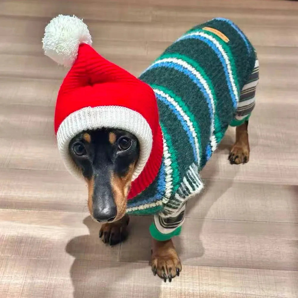 Wuli Dachshund Sweater The Doxie World